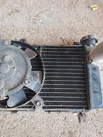 Radiatore Honda Hornet 600 