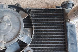 Radiatore Honda Hornet 600 