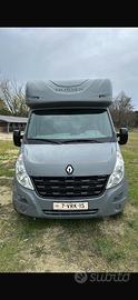 Renault master trasporto cavalli