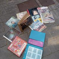 dischi in vinile 33 giri