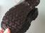 Immagine 4