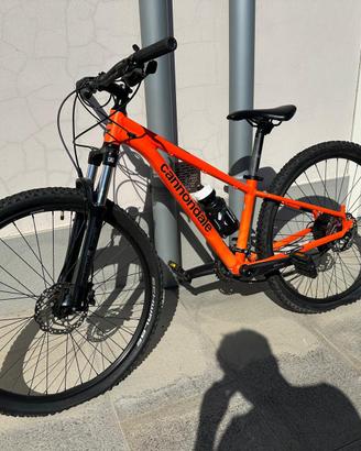Cannondale Trial 🟠