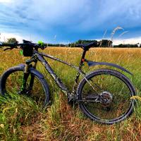 MTB Ghost Lector 6 29" Carbonio LC - Tg L -  Wrapp