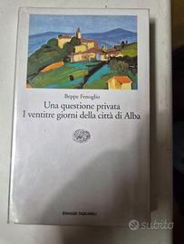 Beppe Fenoglio - Una questione privata