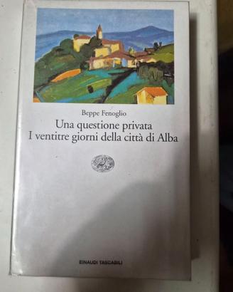 Beppe Fenoglio - Una questione privata