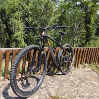 Leecougan rampage carbon