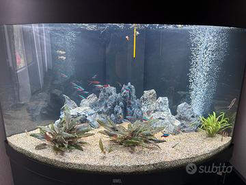 Juwel trigon 190