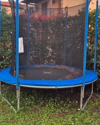 Trampolino/ Saltarello/ tappeto elastico 