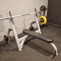 PANCA PIANA PROFESSIONALE MATRIX