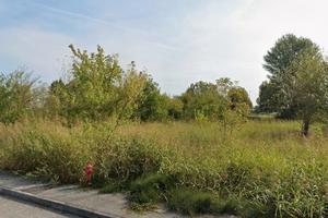 Mq 14.300 Oppeano(VR) LOTTO DI TERRENO EDIFICABILE