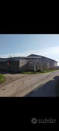 Fabbricato/Terreno