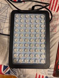 Lampada Luce Rossa Spartan Fire 300W + Libro