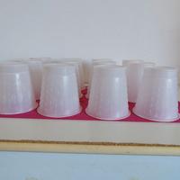 14 Contenitori Plastica Multiuso