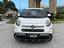 Immagine 10