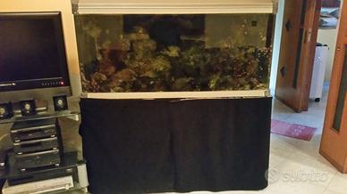 ACQUARIO COMPLETO