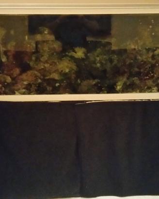 ACQUARIO COMPLETO