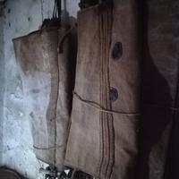 Otre antica in coppia