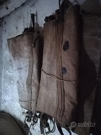 Otre antica in coppia