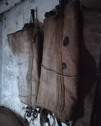 Otre antica in coppia
