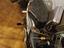 Immagine 5