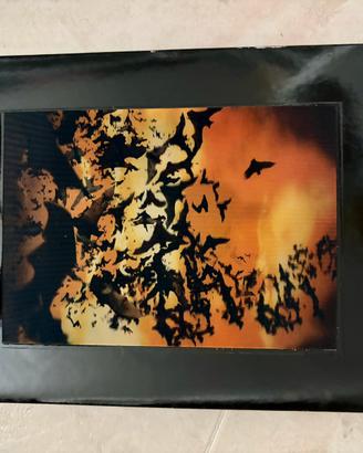 DVD del film "Batman Begins" (2005)