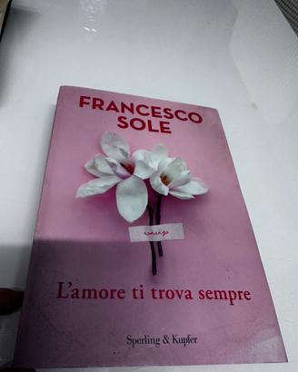 L'amore ti trova sempre - Francesco Sole