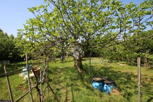 TER. AGRICOLO A GARBAGNATE MILANESE