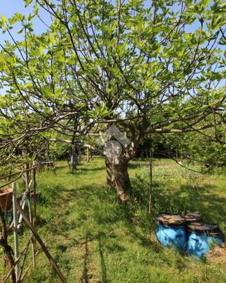 TER. AGRICOLO A GARBAGNATE MILANESE