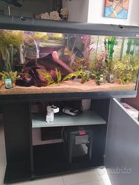 Askoll Ambiente 200 lt con mobile.