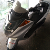 Majestic Yamaha 250