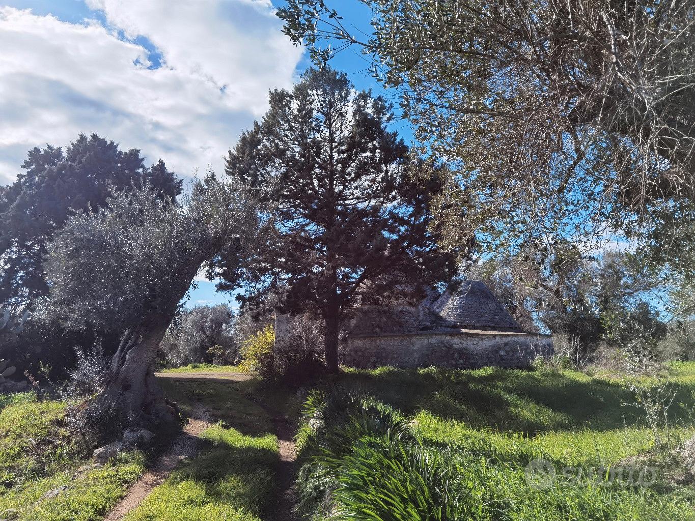 Tenuta con Trulli e lamia, 3 lotti indipendenti - Vista 2