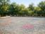 Immagine 8