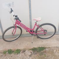 bici Mountain bike 