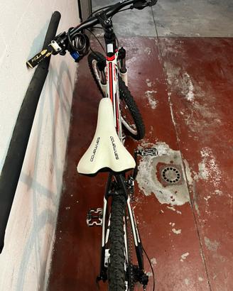 Mountain Bike Le Coogan Rebel