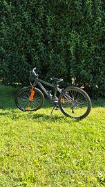 Bicicletta 8/11 anni 