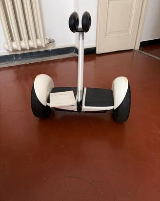 Overboard Segway