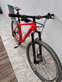 Bottecchia Aquila Rossa