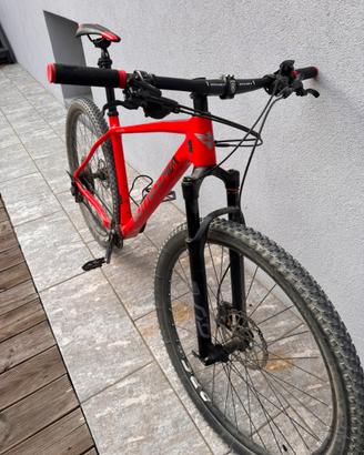 Bottecchia Aquila Rossa