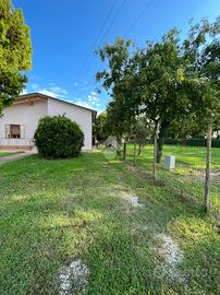 CASA INDIPENDENTE A VIGODARZERE