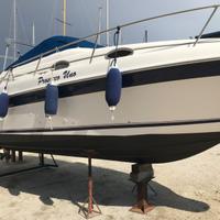 Sea Ray 250 Sundancer