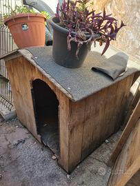 Cuccia da esterno in legno per cani taglia gran