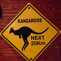 Insegna Stradale Australiana - Canguri - Originale