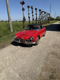 Giulia spider 1600