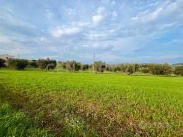Terreno agricolo oderzo