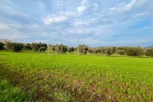 Terreno agricolo oderzo