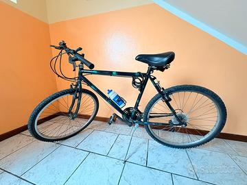 Bicicletta mountain bike