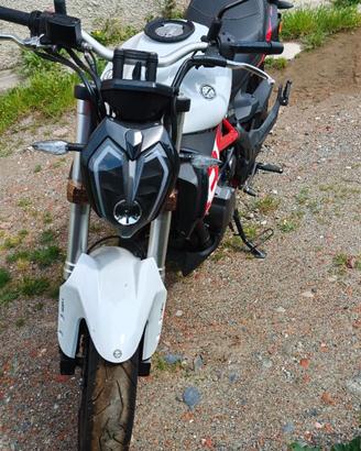 Moto Benelli 302S anno 2021