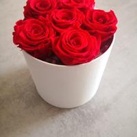 Cofanetto bianco rose rosse stabilizzate 
