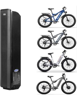 batteria della bicicletta 