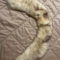 Collo volpe Groenlandia